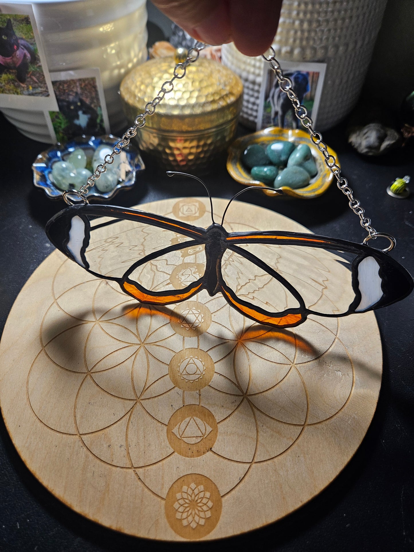 Glasswing Butterfly Stained Glass