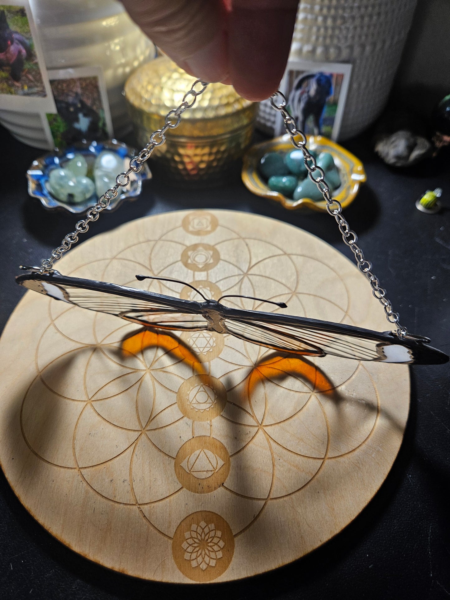 Glasswing Butterfly Stained Glass