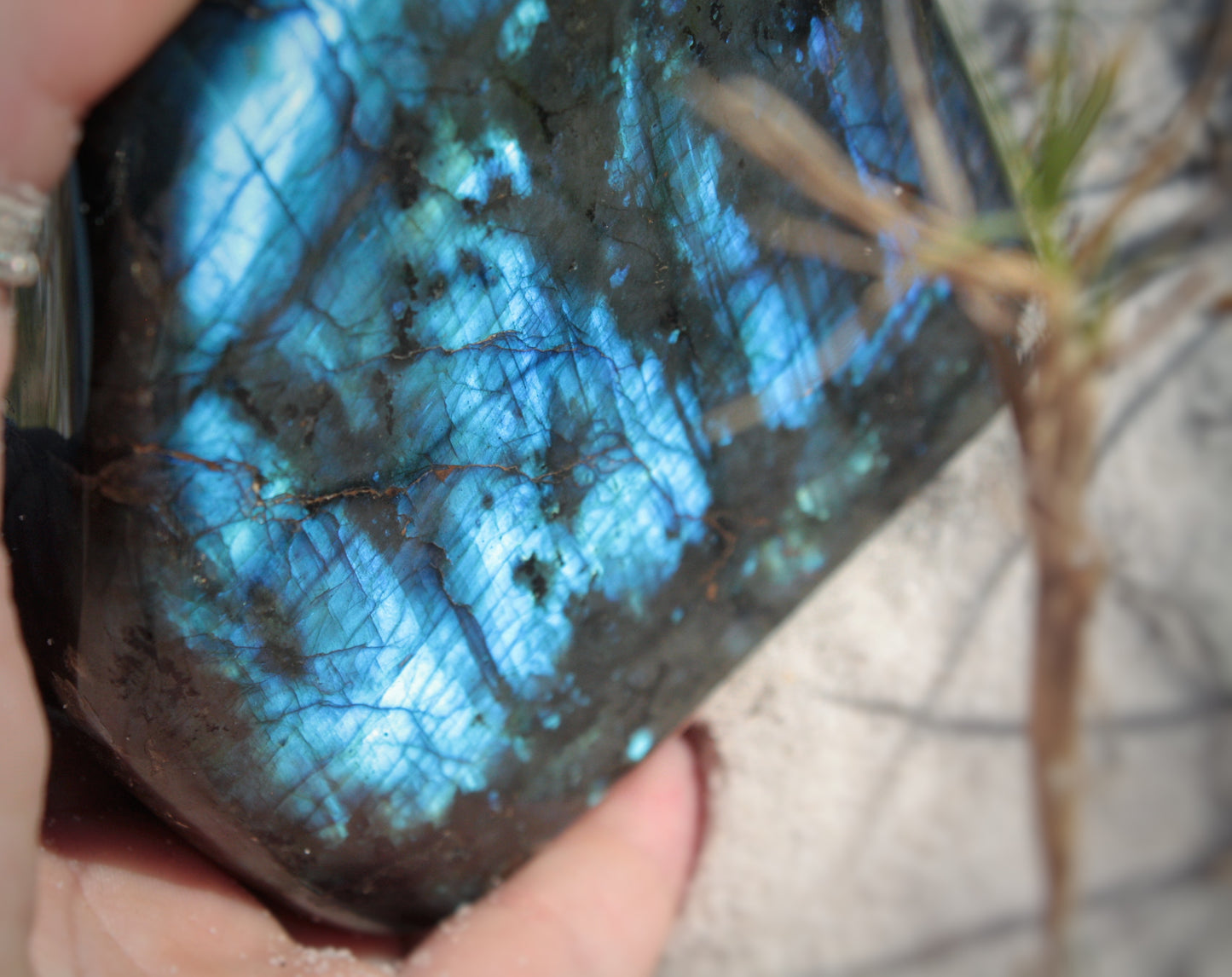 Labradorite Slab