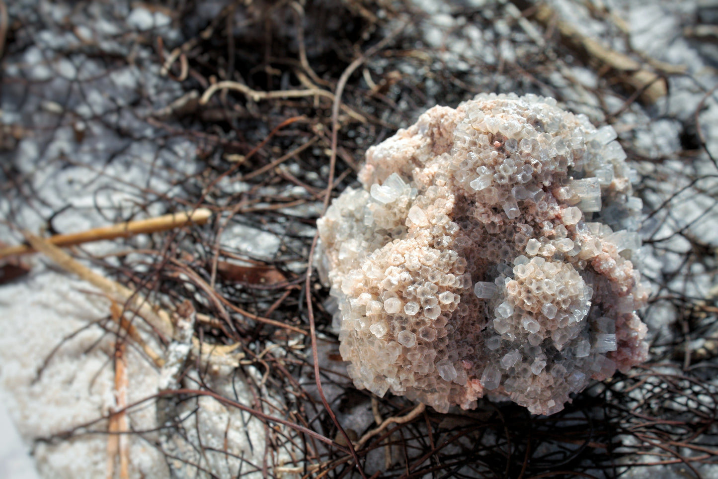 Moroccan Aragonite Star