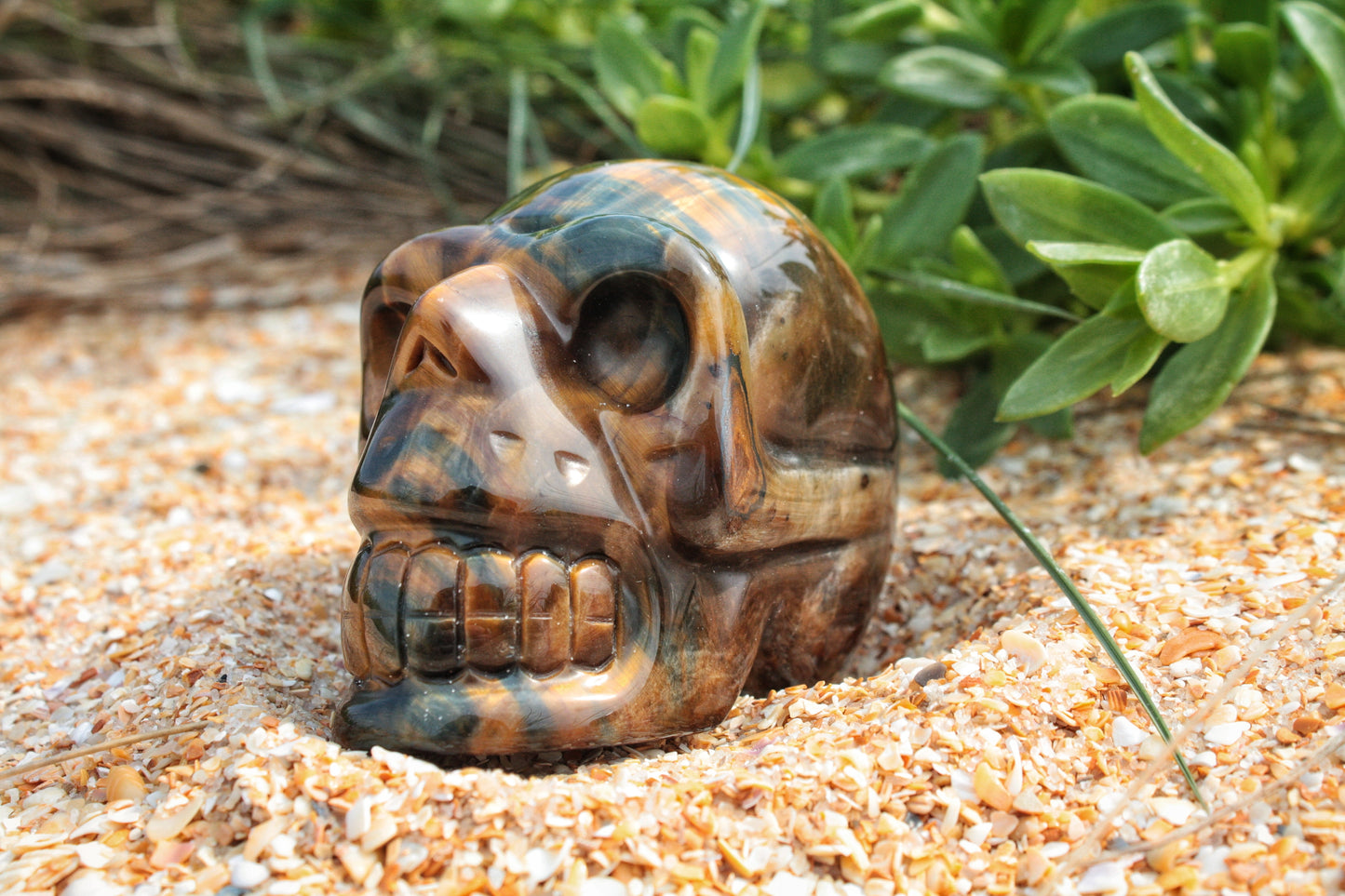 Tiger Eye Polished Skull