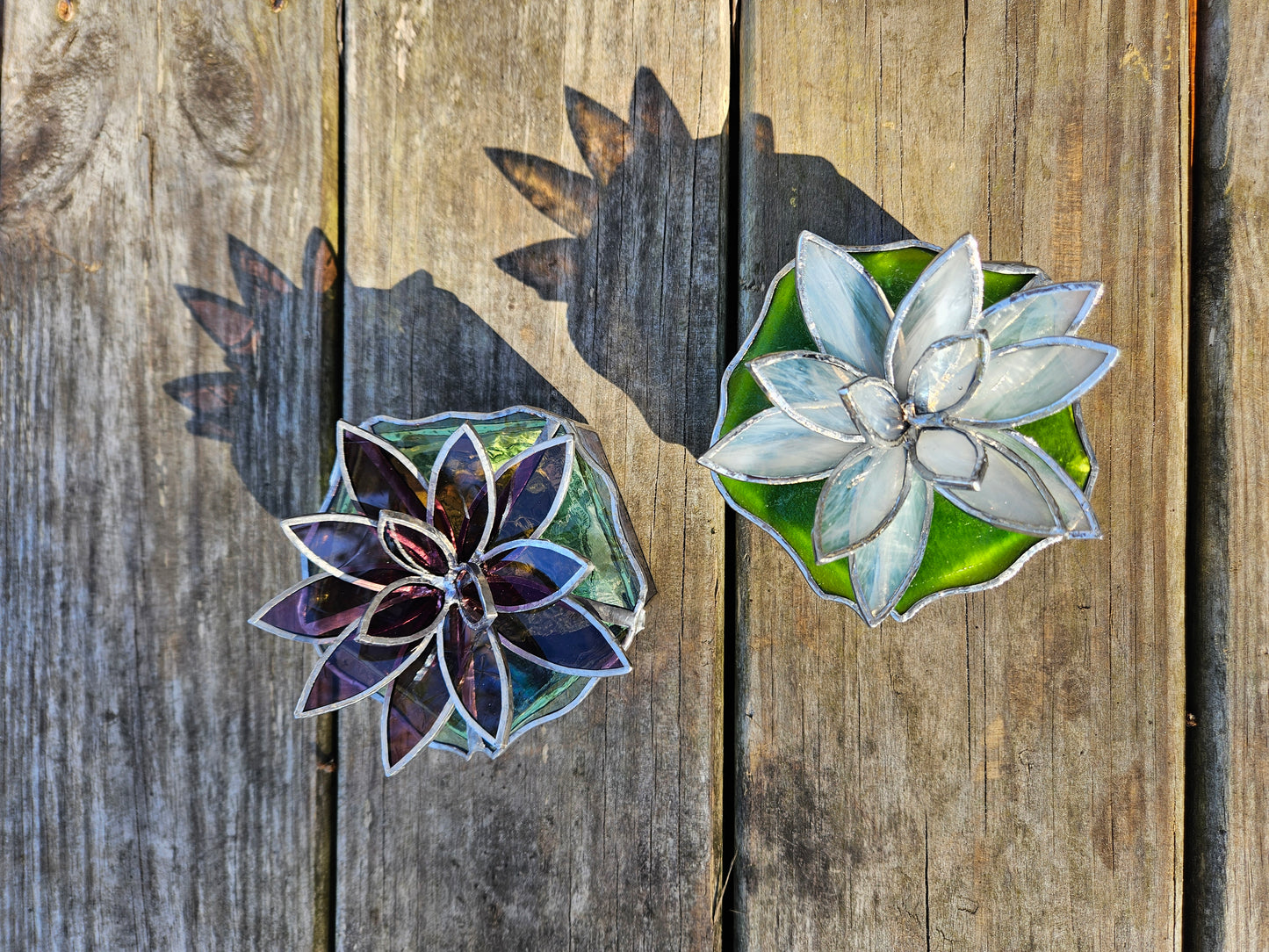 Mauve Cali Lily Box