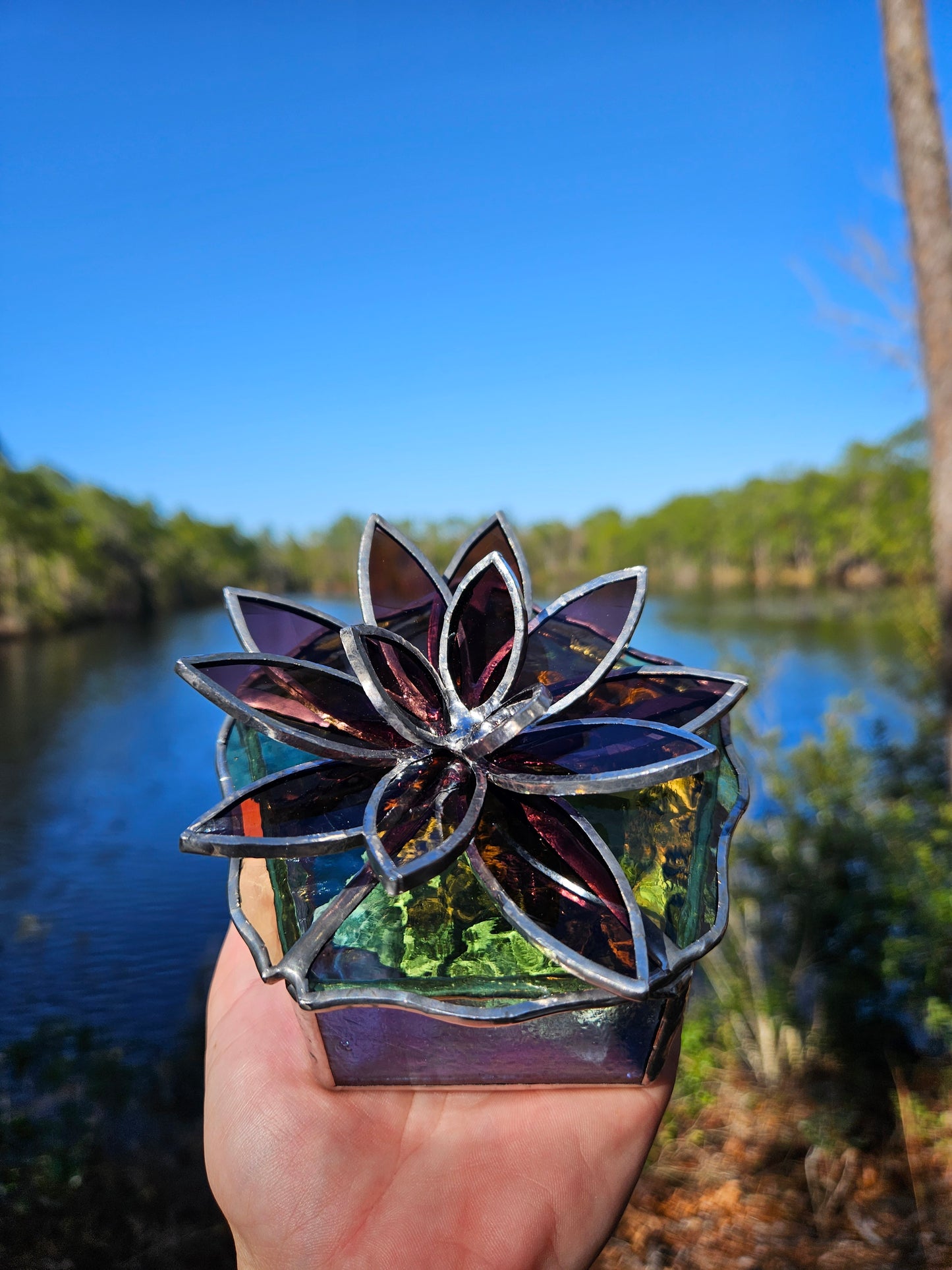 Mauve Cali Lily Box