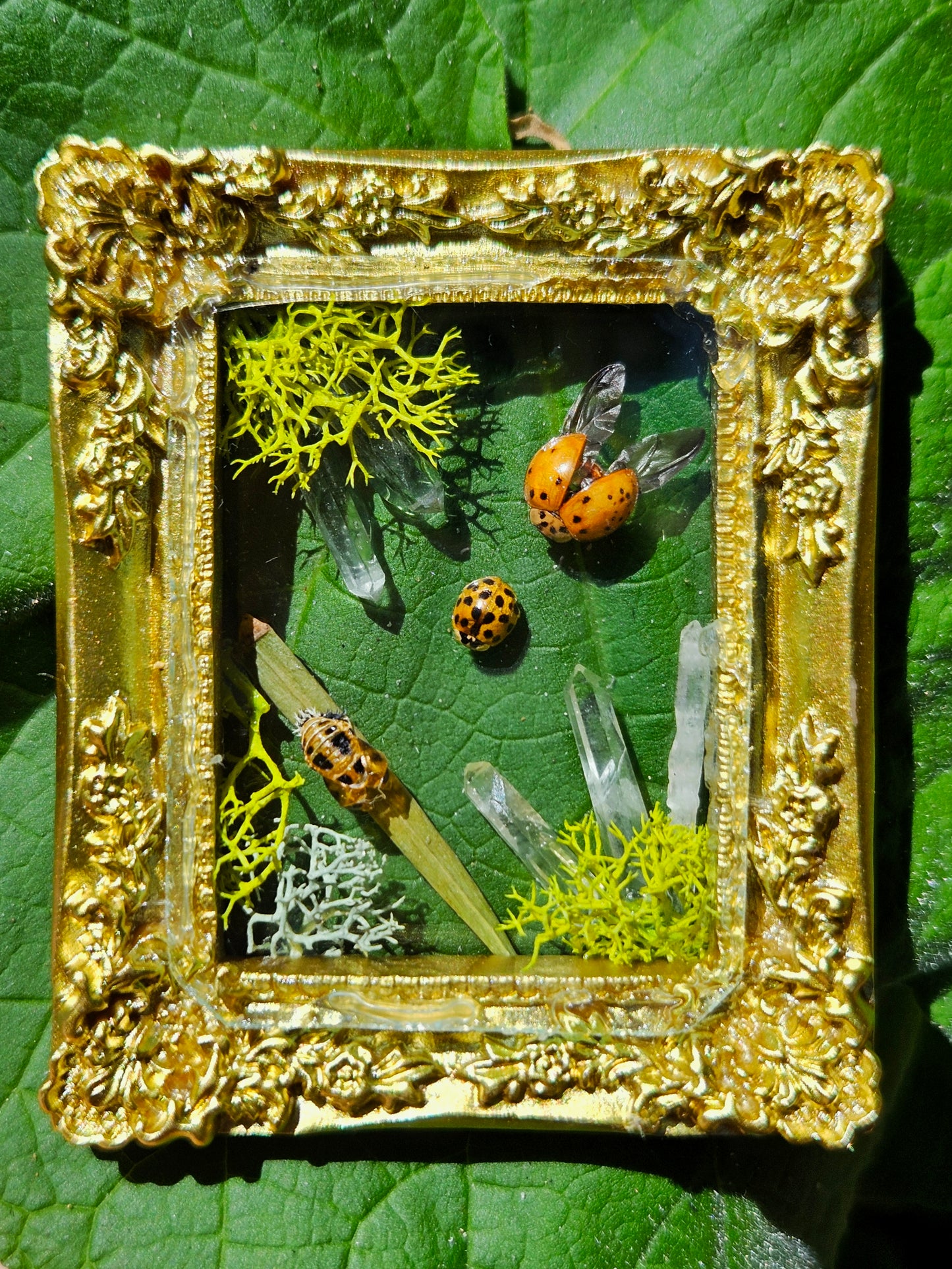 Lady Bug Mini Frame