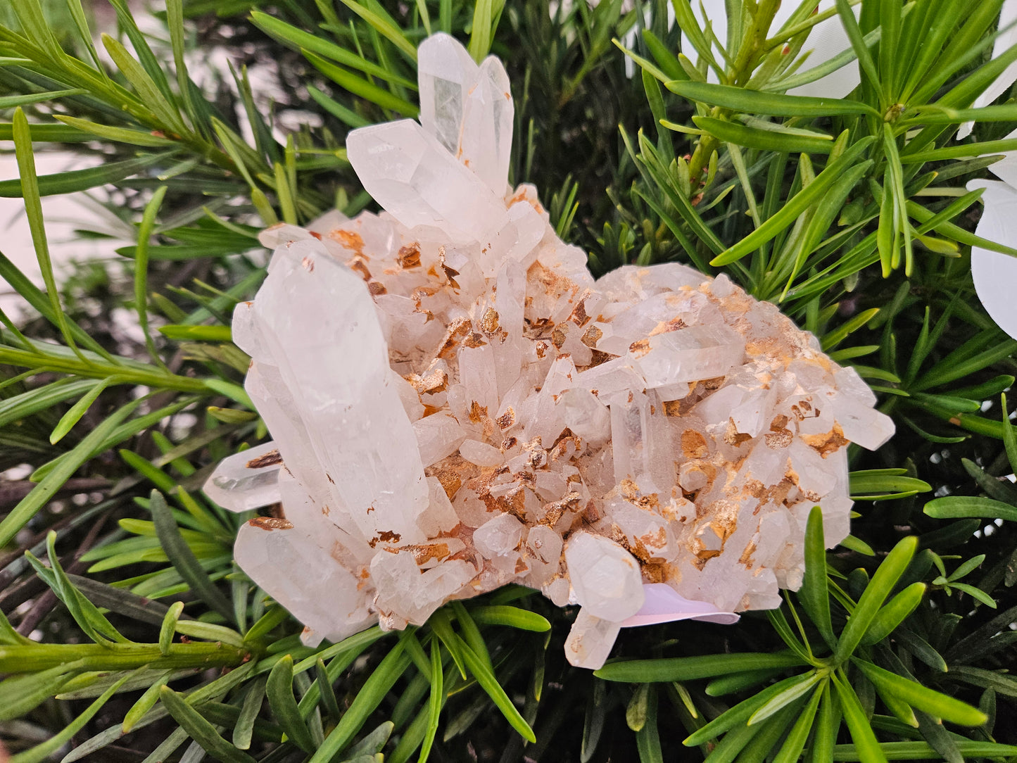 Himalayan Quartz Clusters