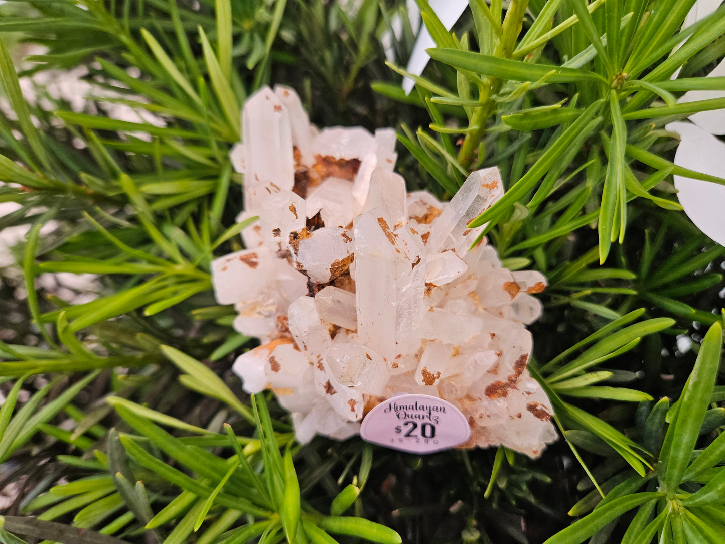 Himalayan Quartz Clusters