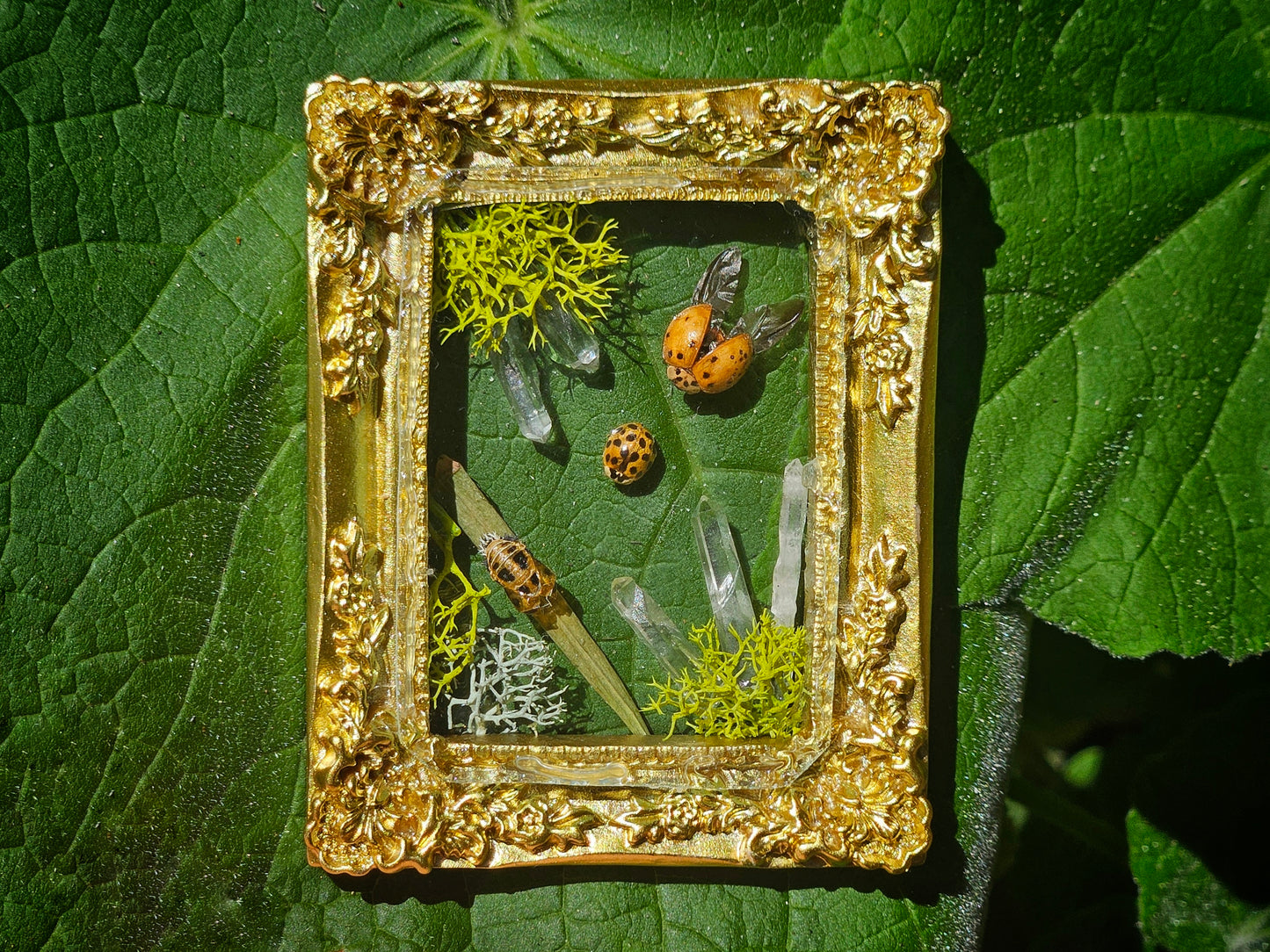 Lady Bug Mini Frame