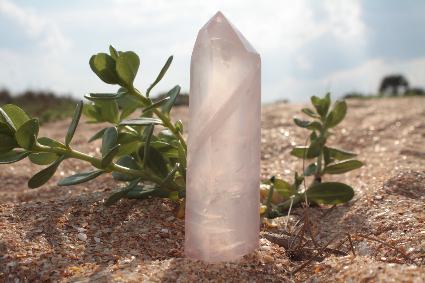 Medium Rose Quartz Tower