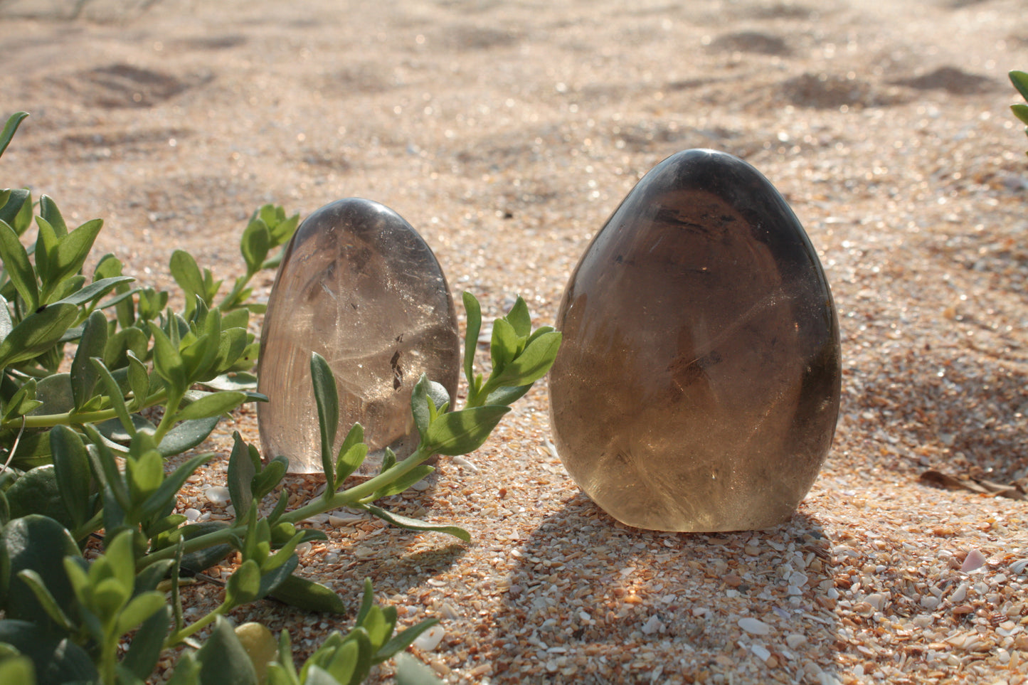 Small Smoky Quartz Free Form