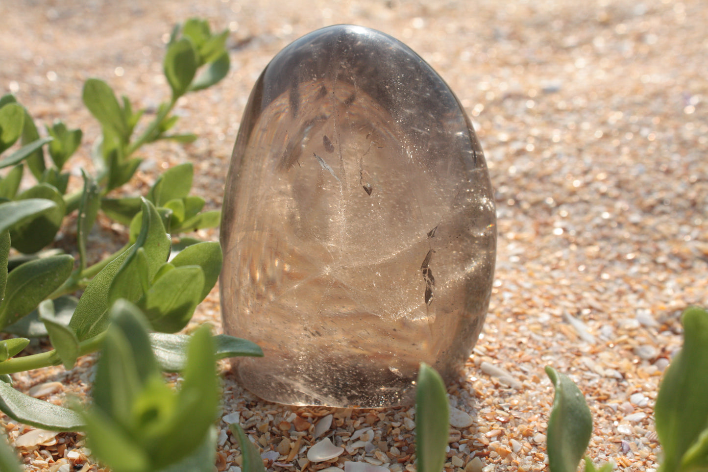 Small Smoky Quartz Free Form