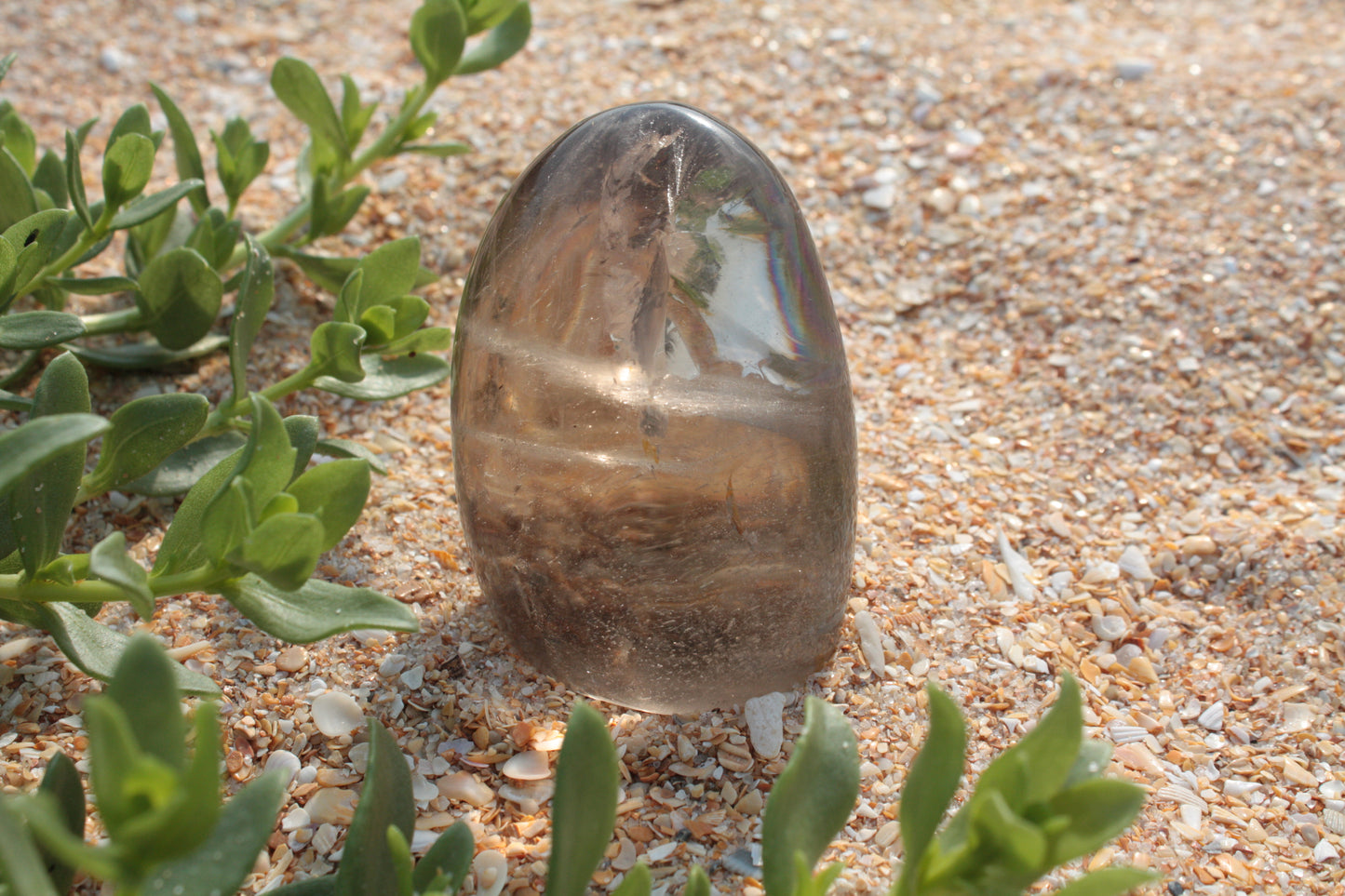 Small Smoky Quartz Free Form