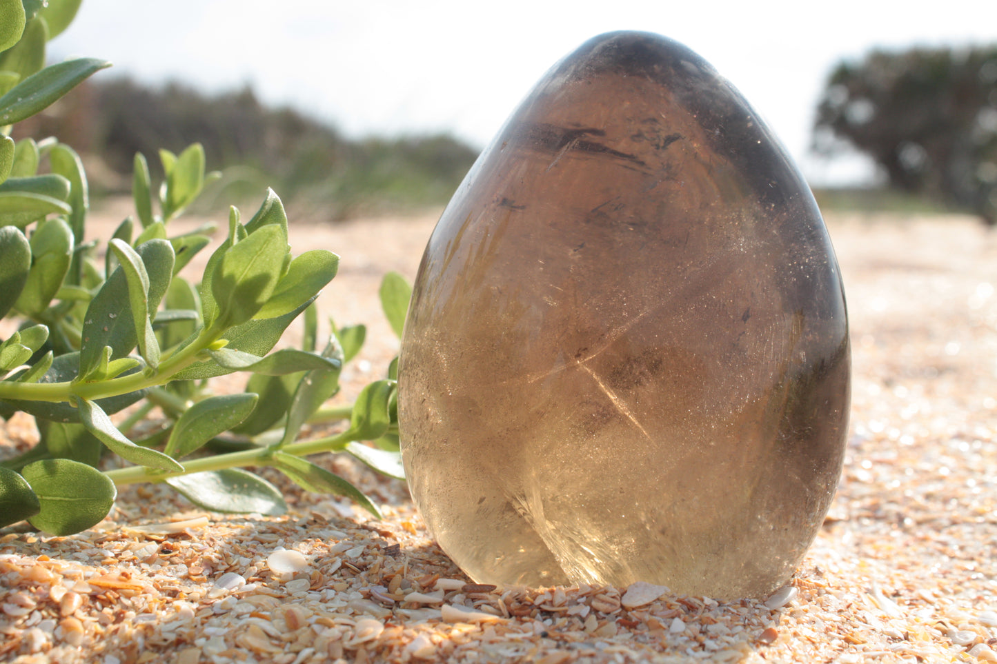 Large Smoky Quartz Free Form