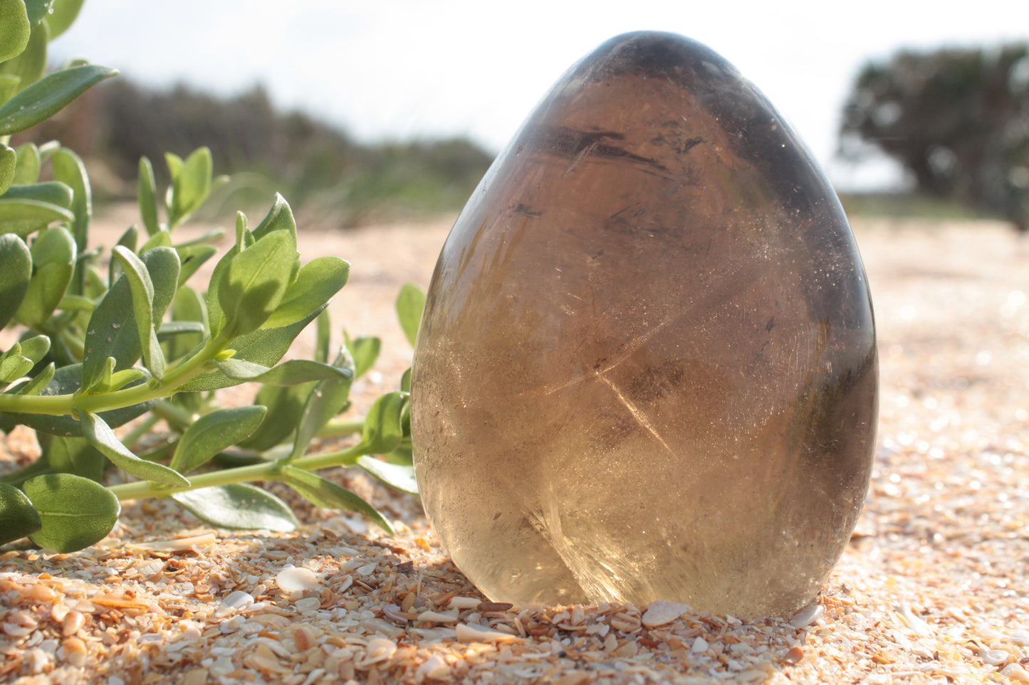 Large Smoky Quartz Free Form