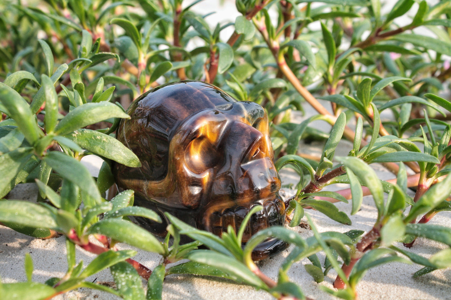 Tiger Eye Polished Skull