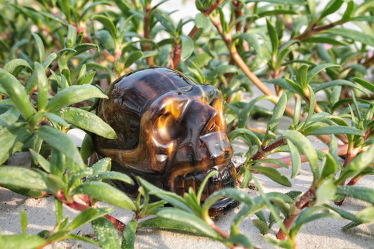 Tiger Eye Polished Skull