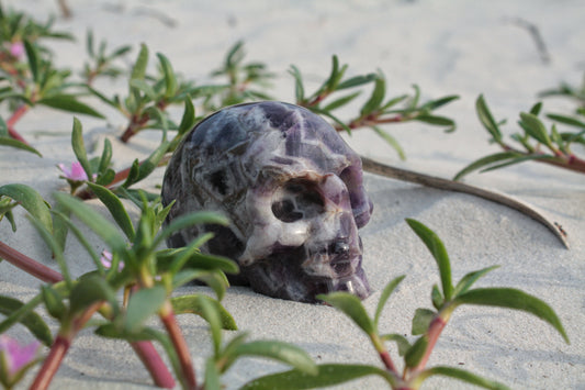 Chevron Amethyst Skull