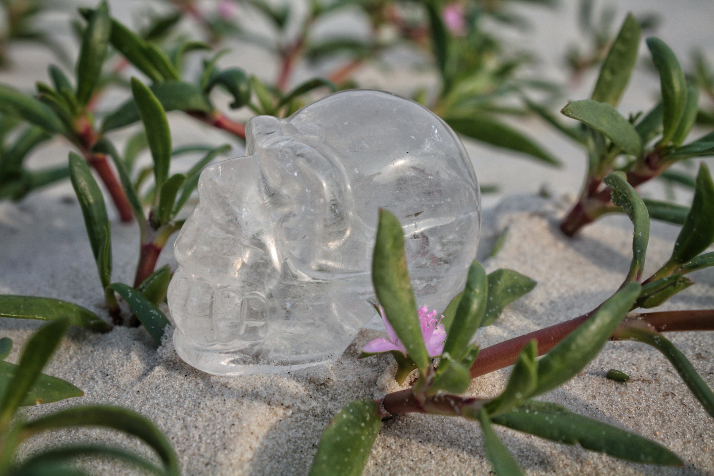 Clear Quartz Polished Skull