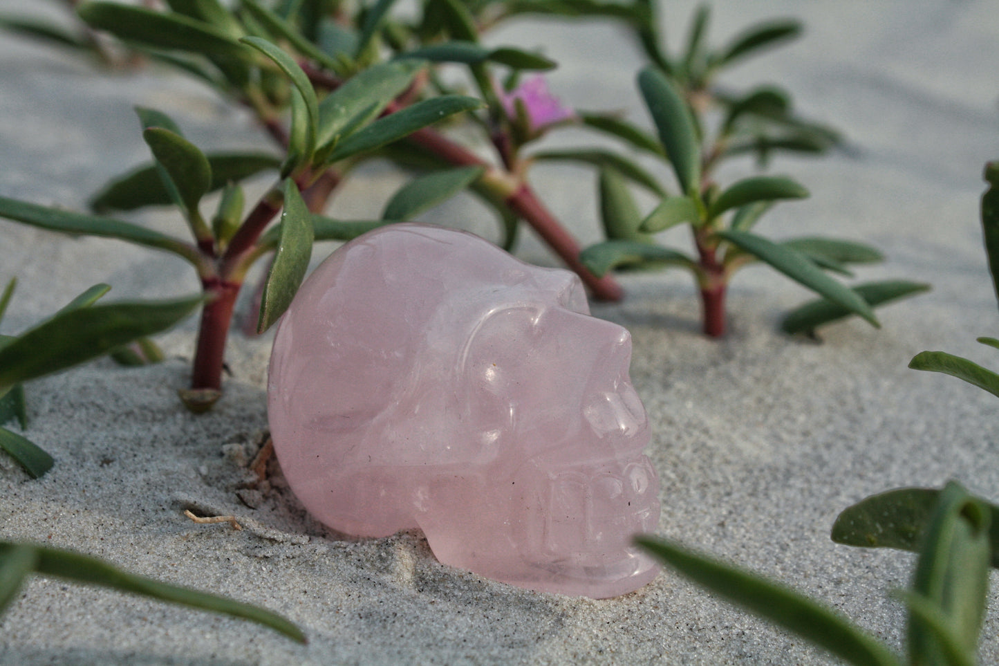 Rose Quartz Polished Skull