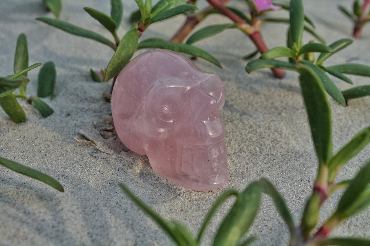 Rose Quartz Polished Skull