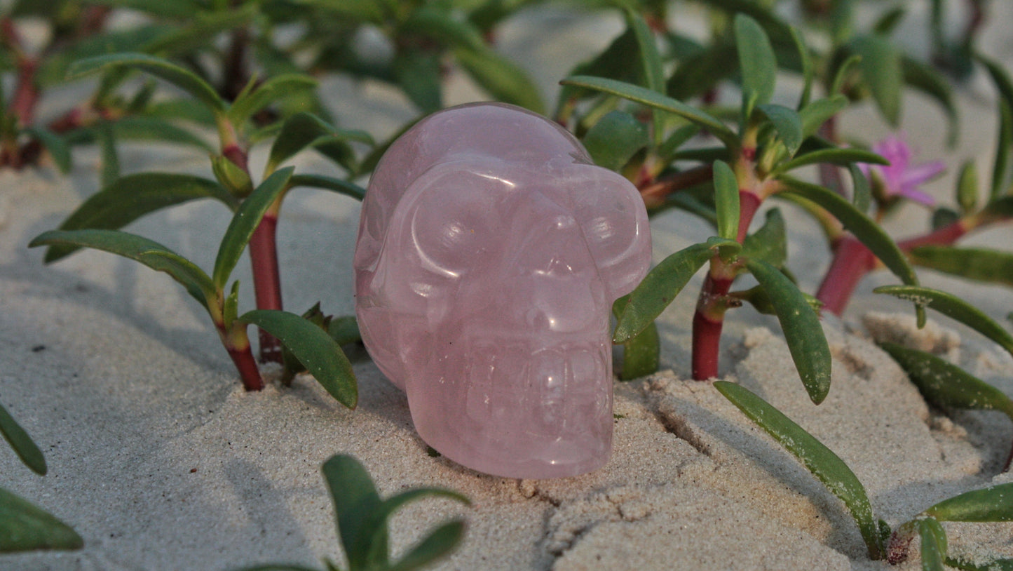 Rose Quartz Polished Skull