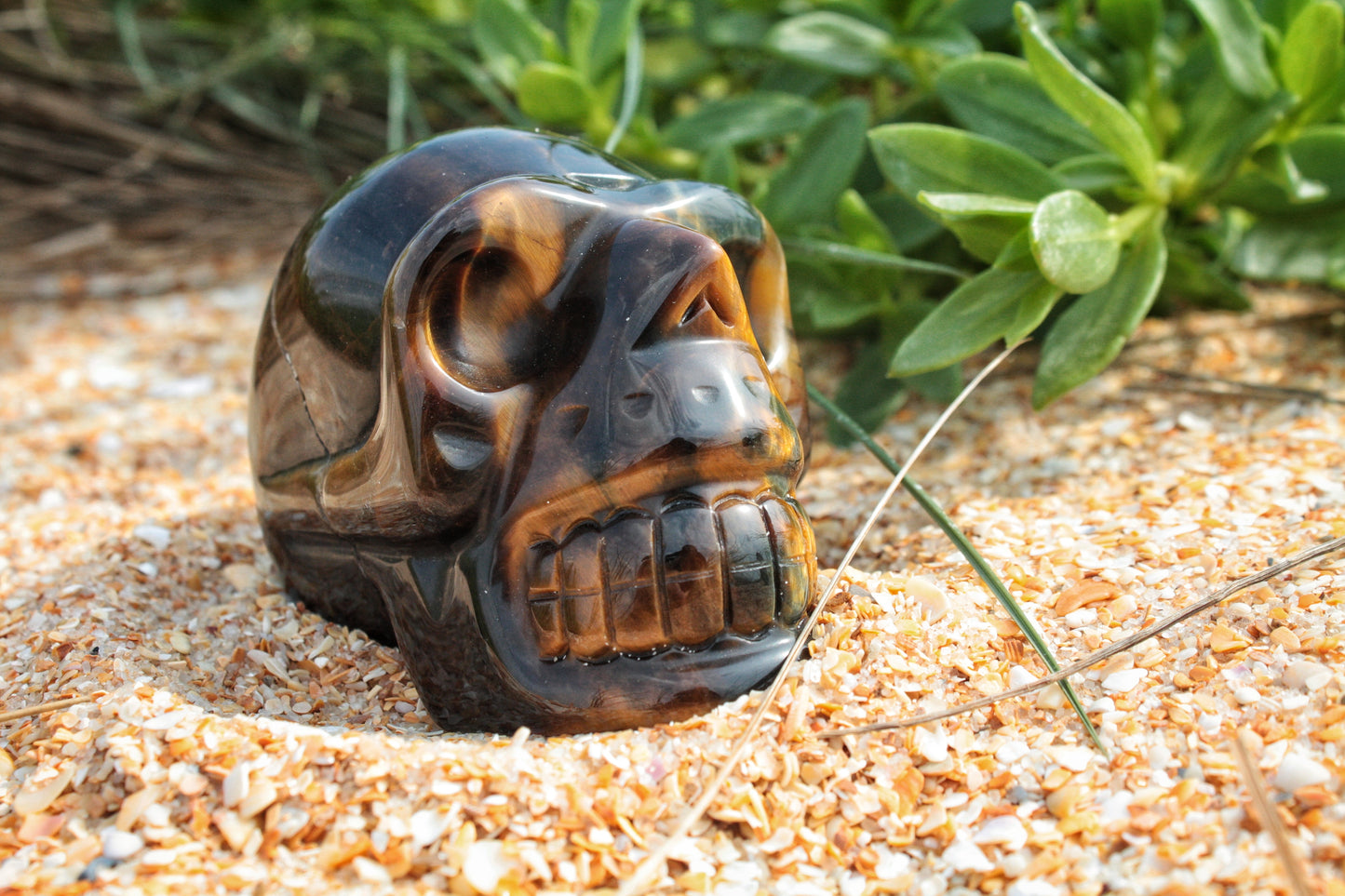 Tiger Eye Polished Skull