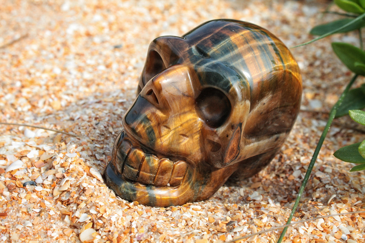 Tiger Eye Polished Skull