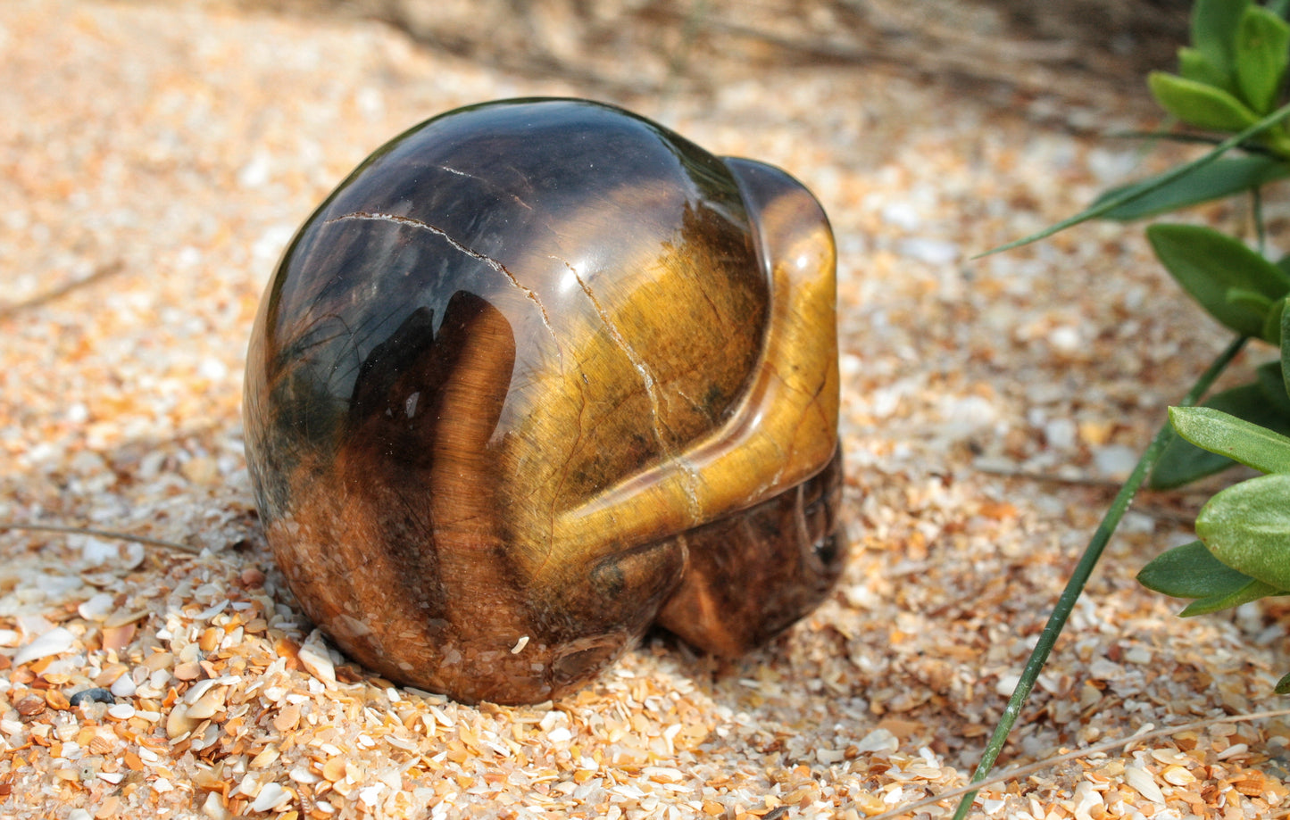 Tiger Eye Polished Skull