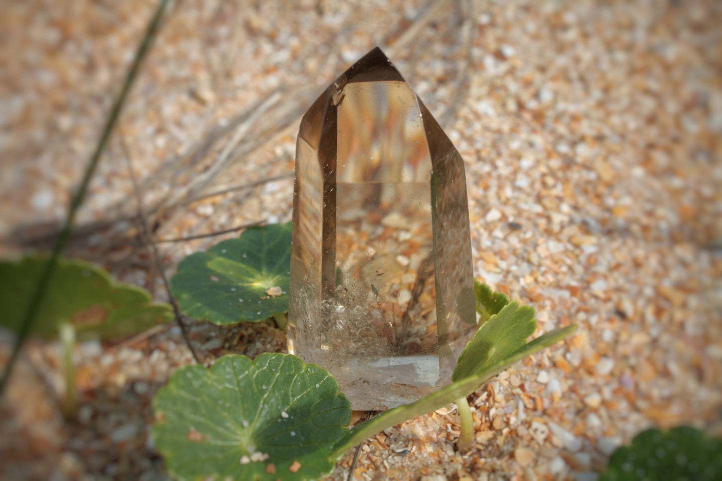 Citrine Point