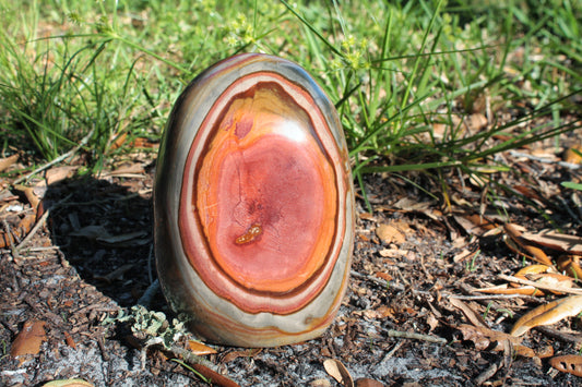 Polychrome Jasper Free Form